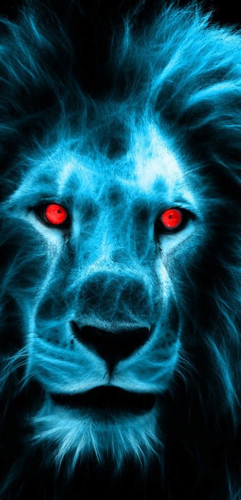 Tiger Danger Blue Fire Lion Wallpaper Goimages Fun