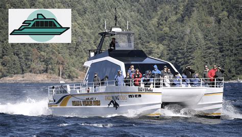 Summer Whale Watching Tours Victoria Bc Eagle Wing Tours