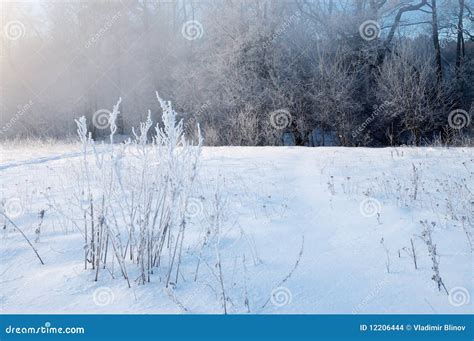 Frosty Winter Morning Stock Photo Image Of Reflection 12206444
