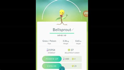 Pokmon Go Weepinbell Evolution Locations Nests Moveset