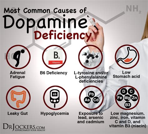 Dopamine Plus Dr Jockers Store