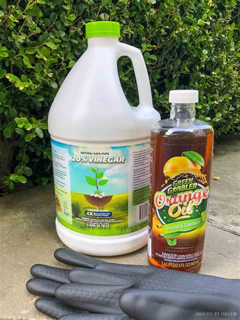 2 Ingredient Organic Weed Killer That Works Driven By Decor