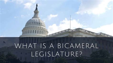 What Is A Bicameral Legislature The Structure Of The Legislative Branch