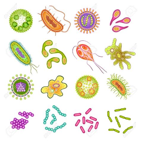 Fondo Realista De Bacterias Y Celulas Vector Premium Images