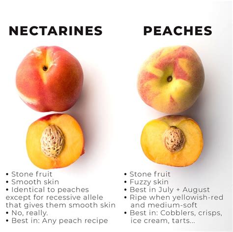 Nectarines Vs Peaches Comparison Letseatcake Cobbler Cobblers