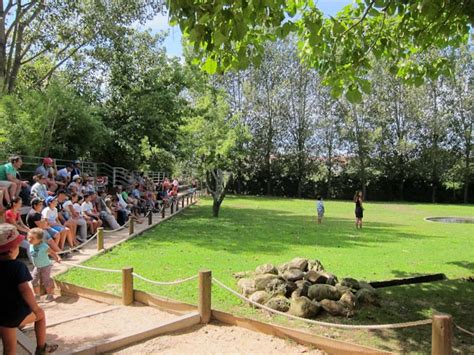 Bilhetes e excursões‎ real companhia velha: Zoo Santo Inácio - Qué ver, cómo llegar, precios y fotos