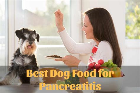 There are a number of health conditions that can predispose dogs to developing pancreatitis, and it's not uncommon for the disease to develop alongside other conditions like diabetes too. Best Dog Food for Pancreatitis | Therapy Pet