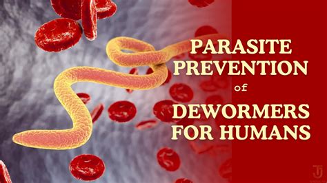 Parasite Prevention Of Dewormers For Humans Tj Medical Hub