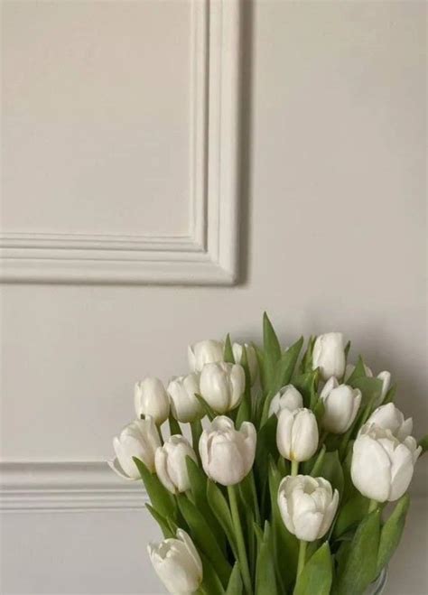 Plant Aesthetic Flower Aesthetic White Aesthetic White Tulips White