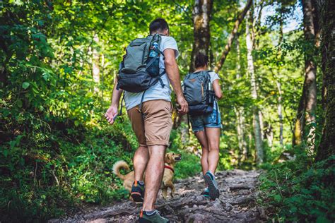 Radeln Oder Wandern Entlang Des Parenzana Pfades In Istrien High Life