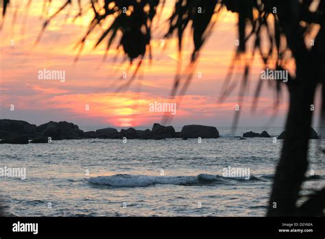 Hikkaduwa Coral Reef Hi Res Stock Photography And Images Alamy