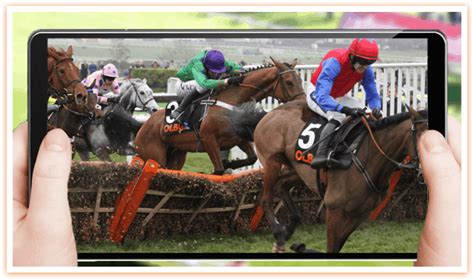So, that is one of the reasons that the draftkings online sportsbook app is considered one of the best betting apps in nj. Top Live Horse Racing Apps for 2019 - Live Streaming Apps ...