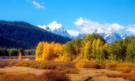 Fall In The Tetons Photograph By Mountain Dreams Fine Art America