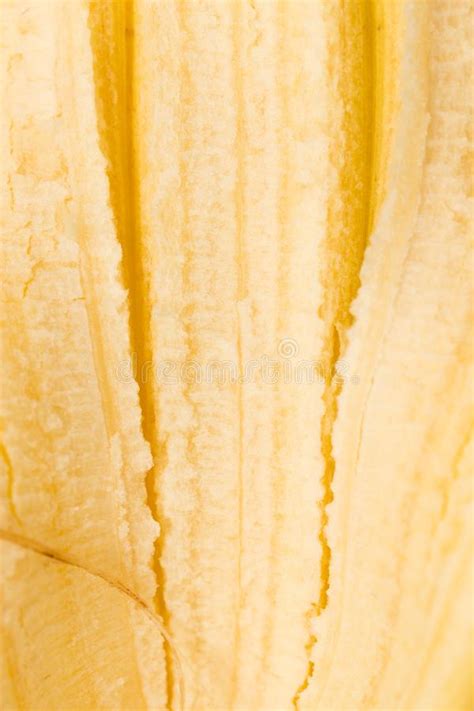 1658 Banana Peel Texture Stock Photos Free And Royalty Free Stock