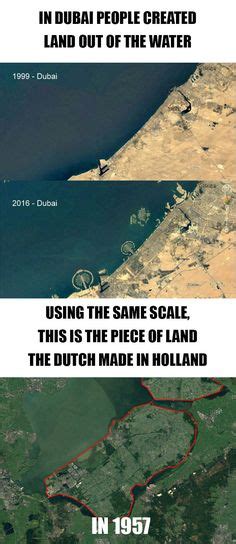 65 Dutch Memes Ideas Memes Funny Memes Humor