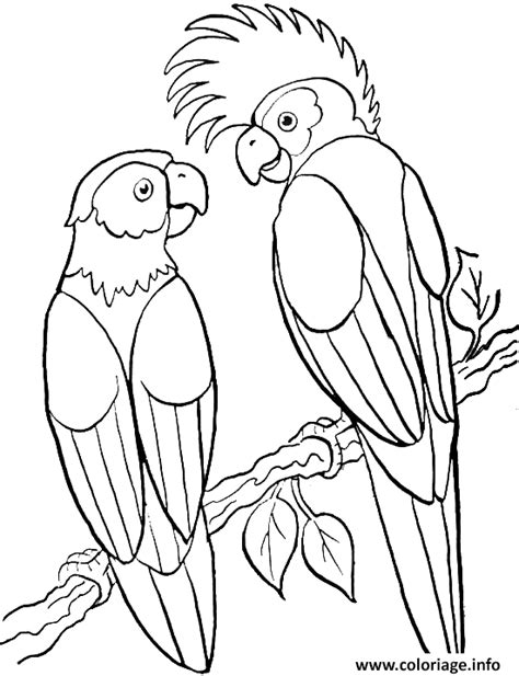 Coloriage Couple De Perroquets