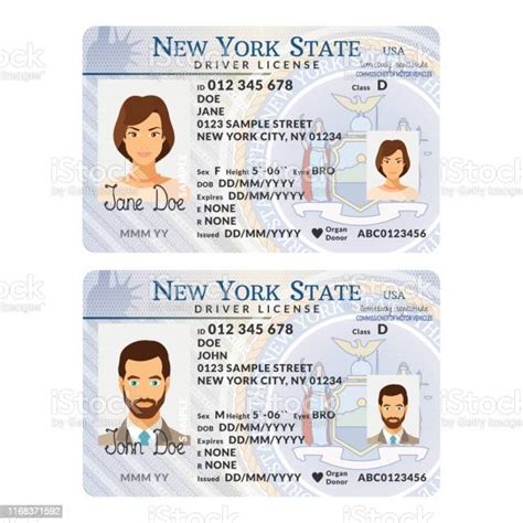 Vector Template Of Sample Driver License Plastic Card For Usa New York