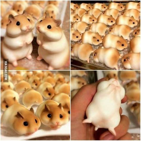 Hamster Shaped Bread Would You Eat It Food And Drinks Japanese Hamster Cute Food Hamster