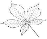 Check out our chestnut paint horse selection for the very best in unique or custom, handmade pieces from our shops. Tree Leaves Coloring Pages to Print Tree Leaves Printable