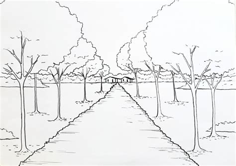 Desenho De Paisagem Com Caminho Com árvores Ipê Amarelo Para Pintar