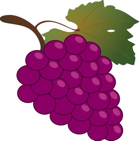 Grape Clip Art At Vector Clip Art Online
