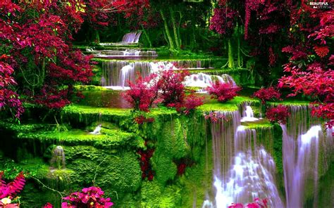 waterfall flowers wallpapers top free waterfall flowers backgrounds wallpaperaccess