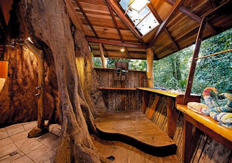 Top 6 Amazing Tree House Hotels That Will Make Youfall From The Tree