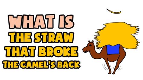 What Is The Straw That Broke The Camel S Back Explained In 2 Min
