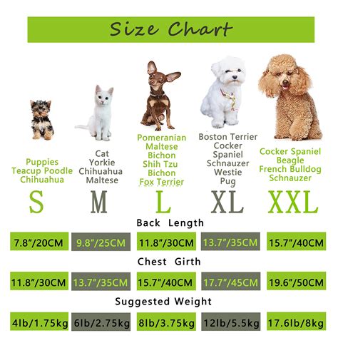 Shih Tzu Size Chart Ubicaciondepersonascdmxgobmx