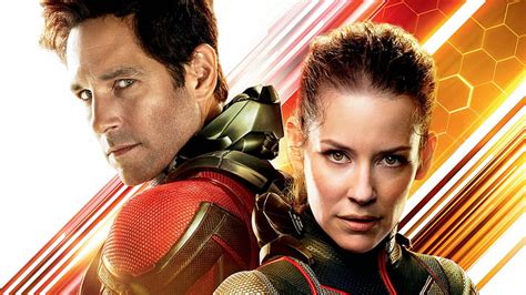 Película Ant Man And The Wasp Ant Man Evangeline Lilly Hope Pym