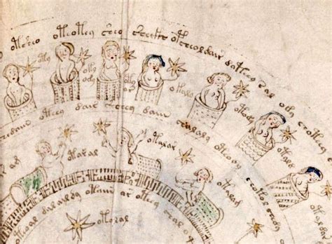 Sample Of The Voynich Manuscript The Worlds Most Mysterious