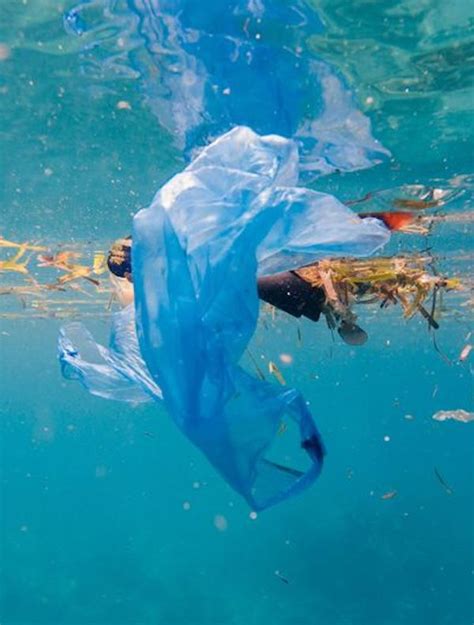 Más De 10 Millones De Toneladas De Plástico Se Vierten Cada Año En Los