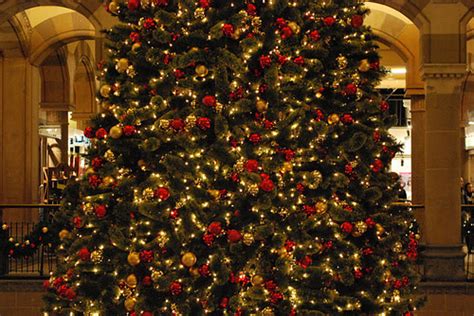 Big Christmas Tree Pictures Photos And Images For Facebook Tumblr