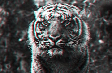Trippy Tiger Posters By Ranp Redbubble