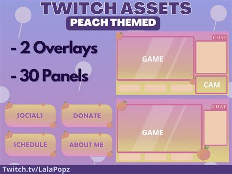 Peach Themed Twitch Overlay With Panels Pack 2 Overlays And Etsy