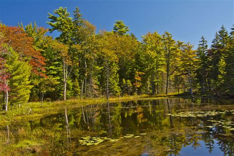 Maine Fall Foliage Driving Tours