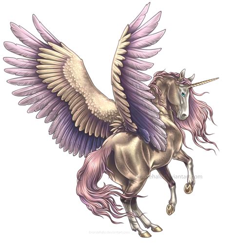 Alicorn Unisus Pegasus Overlay Png Horse With Wings Realistic Clipart