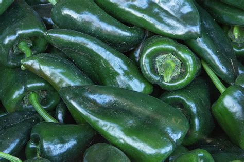 Green Jalapeno Peppers Photograph By Linda Storm Fine Art America