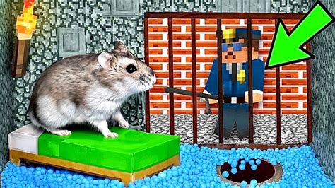 🐹escape Minecraft Hamster Maze With Traps Obstacle Course Youtube