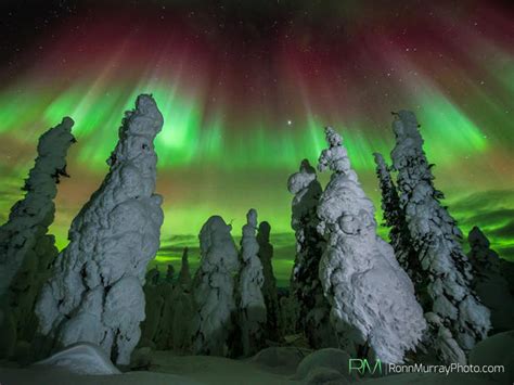 Aurora Borealis Alaskas Northern Lights Pictures Cbs News