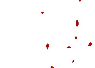 Colorful paper in the air to confetti animated images. Transparent petals GIF - Find on GIFER