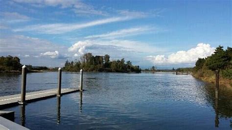 Spencer Island Park (Everett) - All You Need to Know ...