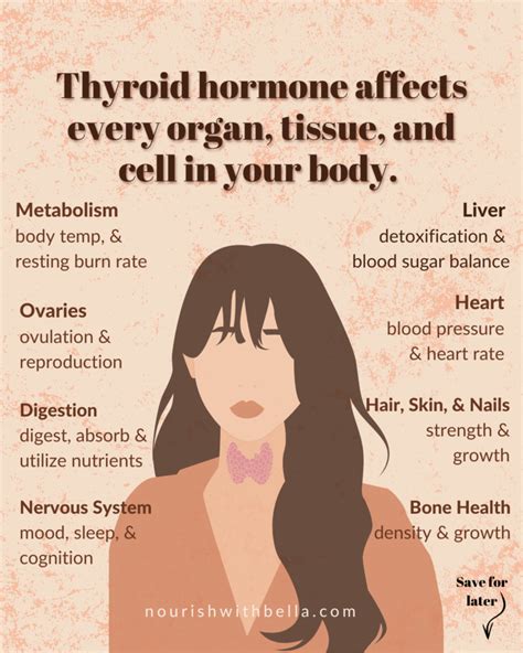 Thyroid Health Function Symptoms Testing Optimal Foods Low Levels Artofit