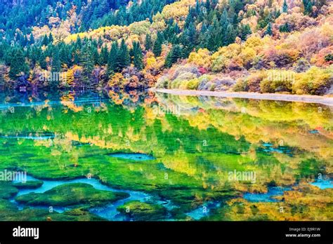 Beauty Autumn In Jiuzhaigou Stock Photo Alamy