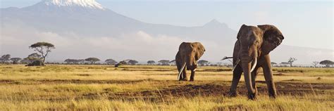 Tailor Made Tours Luxury Vacations And Safaris Audley Travel Audley