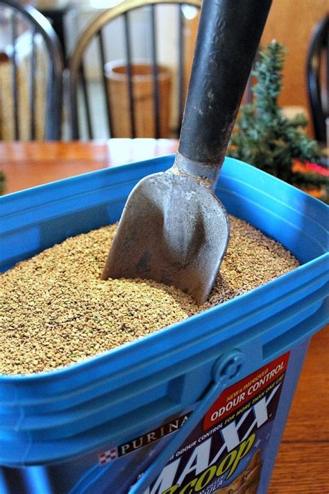 We still love them—as much as you can love a litter box. 10 Clever Alternative Uses for Cat Litter! | The Creek ...