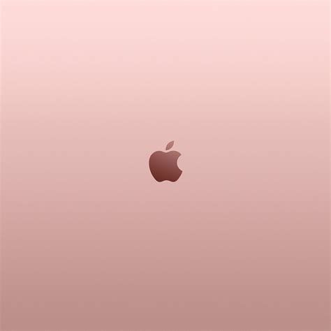 Rose Gold Ipad Wallpapers Top Free Rose Gold Ipad Backgrounds