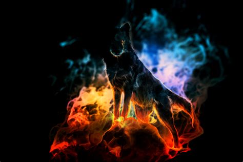 Drowning In Flames By 404mockingbirds On Deviantart Shadow Wolf Wolf