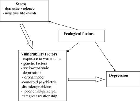 Conceptual Framework Based On The Stress Diathesis Model For Depression