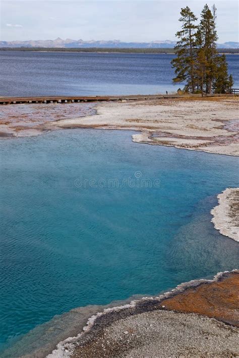 West Thumb Geyser Basin And Yellowstone Lake Stock Photo Image Of
